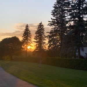 Meet your Posher, Reem